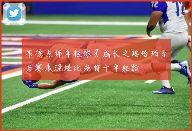 韦德点评年轻球员成长之路哈珀季后赛表现堪比老将十年经验