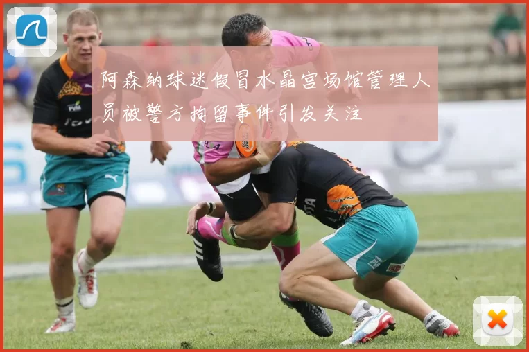 阿森纳球迷假冒水晶宫场馆管理人员被警方拘留事件引发关注