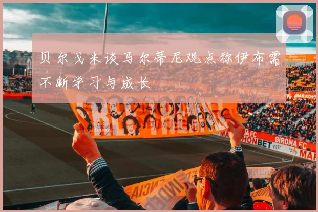 贝尔戈米谈马尔蒂尼观点称伊布需不断学习与成长